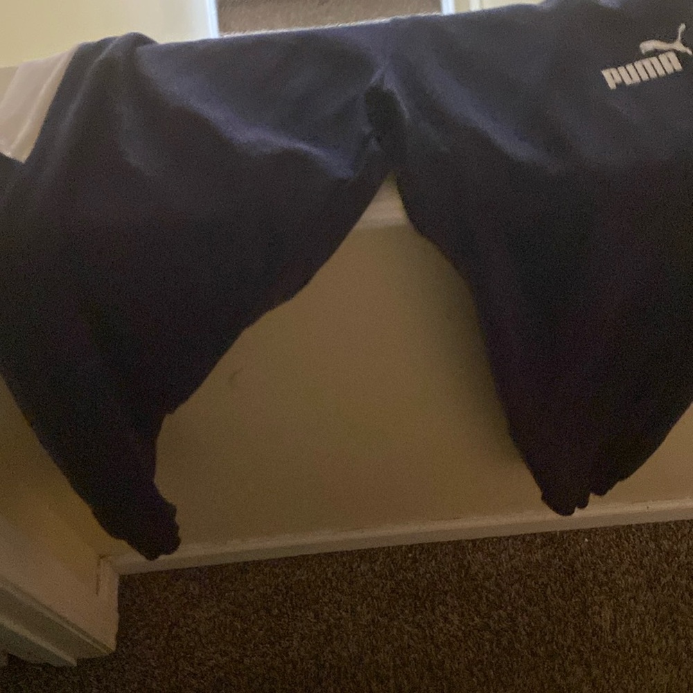 Puma Large